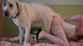 Phim sex thú dính lẹo lồn với chó